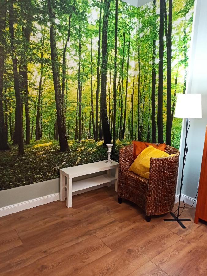 לגניצה Apartament Rozeta Centrum 6Os מראה חיצוני תמונה