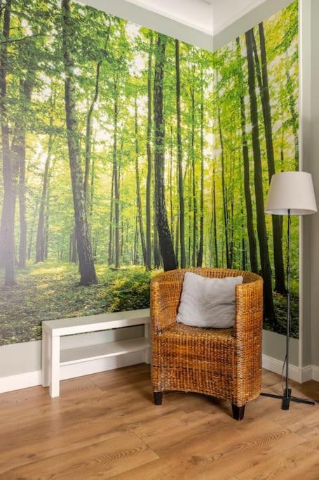 לגניצה Apartament Rozeta Centrum 6Os מראה חיצוני תמונה